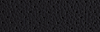 Black Leather interior colour 