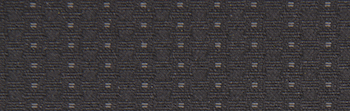 Black Sport Fabric interior colour