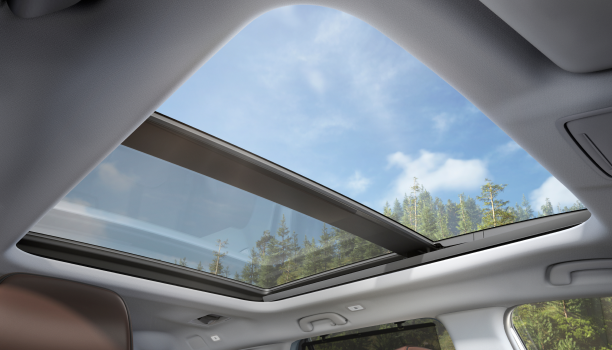 A view from the Pilot’s interior, looking upwards at blue skies and trees through the panoramic moonroof.